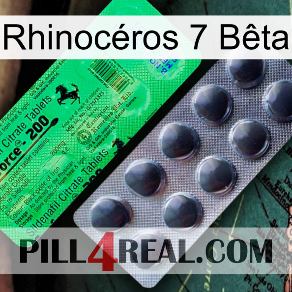 Rhinocéros 7 Bêta new04